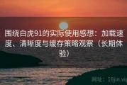 围绕白虎91的实际使用感想：加载速度、清晰度与缓存策略观察（长期体验）