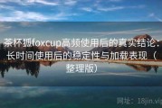 茶杯狐foxcup高频使用后的真实结论：长时间使用后的稳定性与加载表现（整理版）