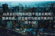 白虎自扣在线到底适不适合长期用？整体观感、交互细节与使用节奏评价（新手向）