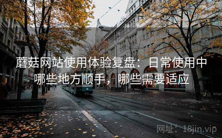蘑菇网站使用体验复盘:日常使用中哪些地方顺手,哪些需要适应 蘑菇网站使用体验复盘:日常使用中哪些地方顺手,哪些需要适应