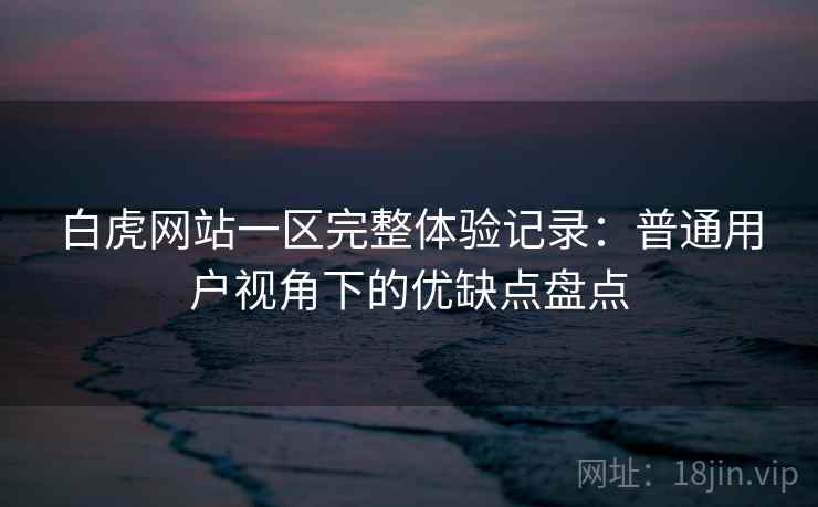 白虎网站一区完整体验记录：普通用户视角下的优缺点盘点