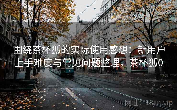 围绕茶杯狐的实际使用感想：新用户上手难度与常见问题整理，茶杯狐0