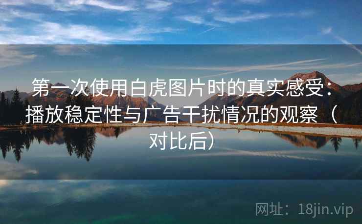 第一次使用白虎图片时的真实感受：播放稳定性与广告干扰情况的观察（对比后）