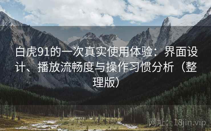 白虎91的一次真实使用体验：界面设计、播放流畅度与操作习惯分析（整理版）