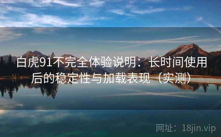 白虎91不完全体验说明:长时间使用后的稳定性与加载表现(实测) 白虎91不完全体验说明:长时间使用后的稳定性与加载表现(实测)