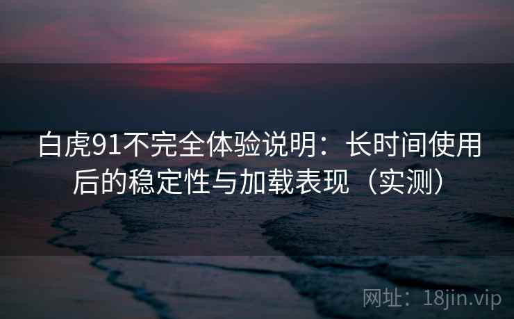 白虎91不完全体验说明:长时间使用后的稳定性与加载表现(实测) 白虎91不完全体验说明:长时间使用后的稳定性与加载表现(实测)
