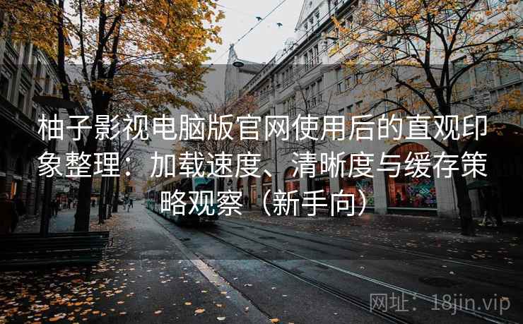 柚子影视电脑版官网使用后的直观印象整理：加载速度、清晰度与缓存策略观察（新手向）